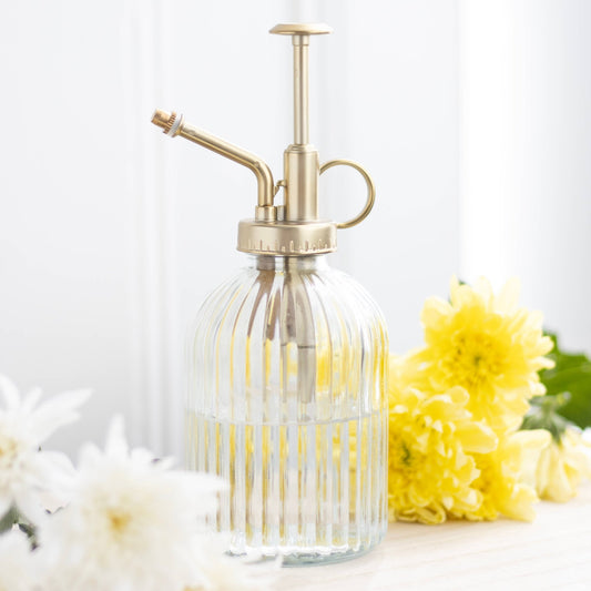 Ribbet glasplante Mister - MoodTiles