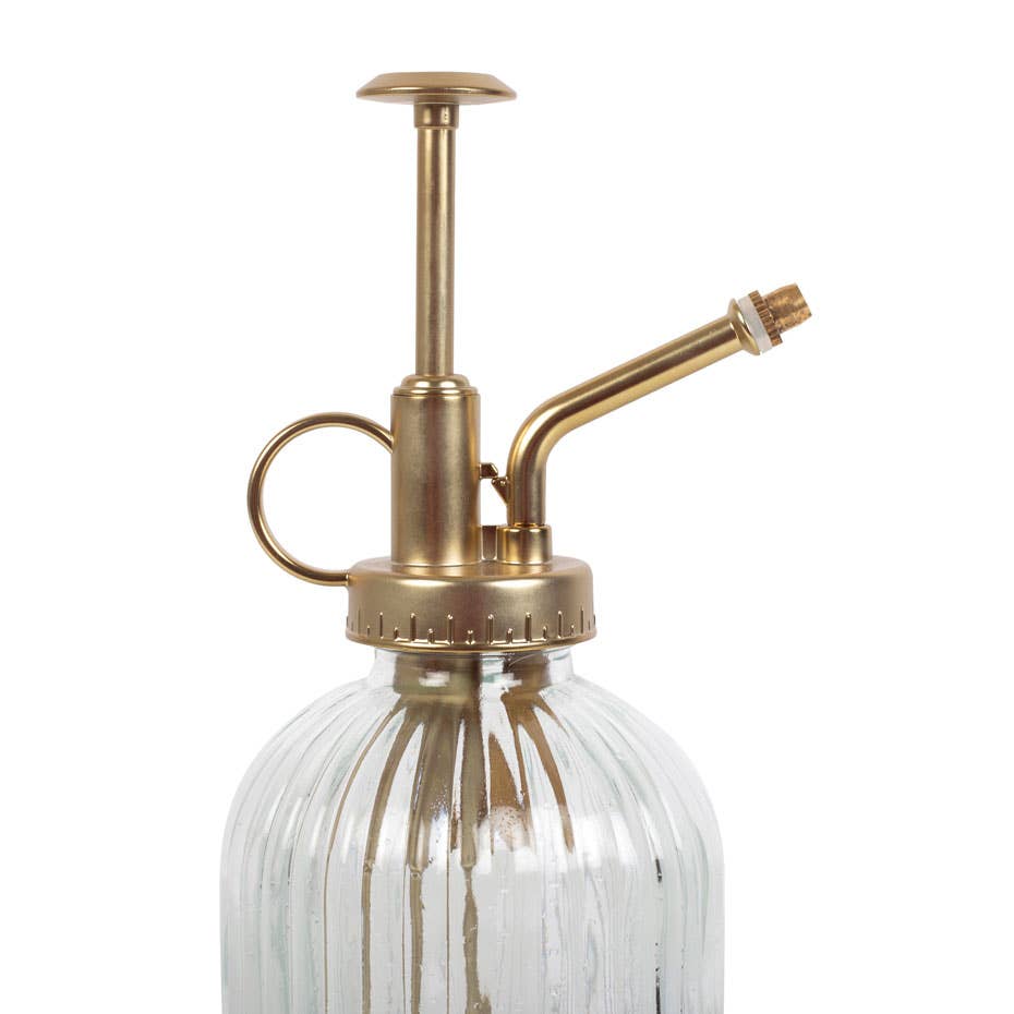 Ribbet glasplante Mister - MoodTiles