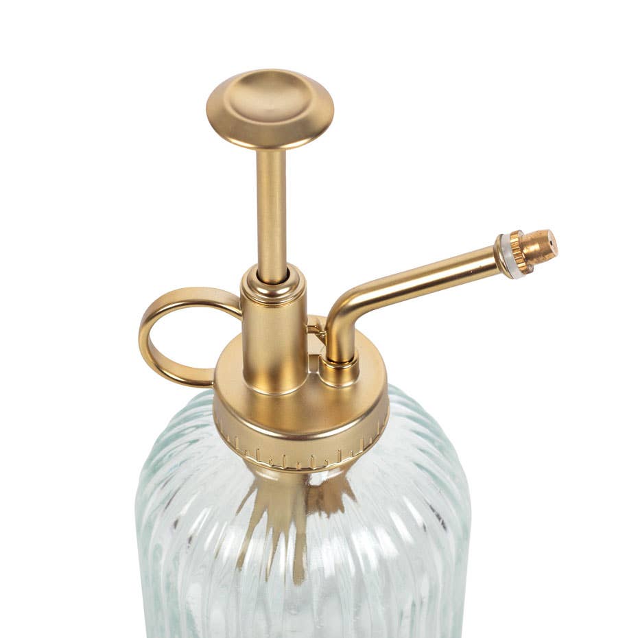 Ribbet glasplante Mister - MoodTiles