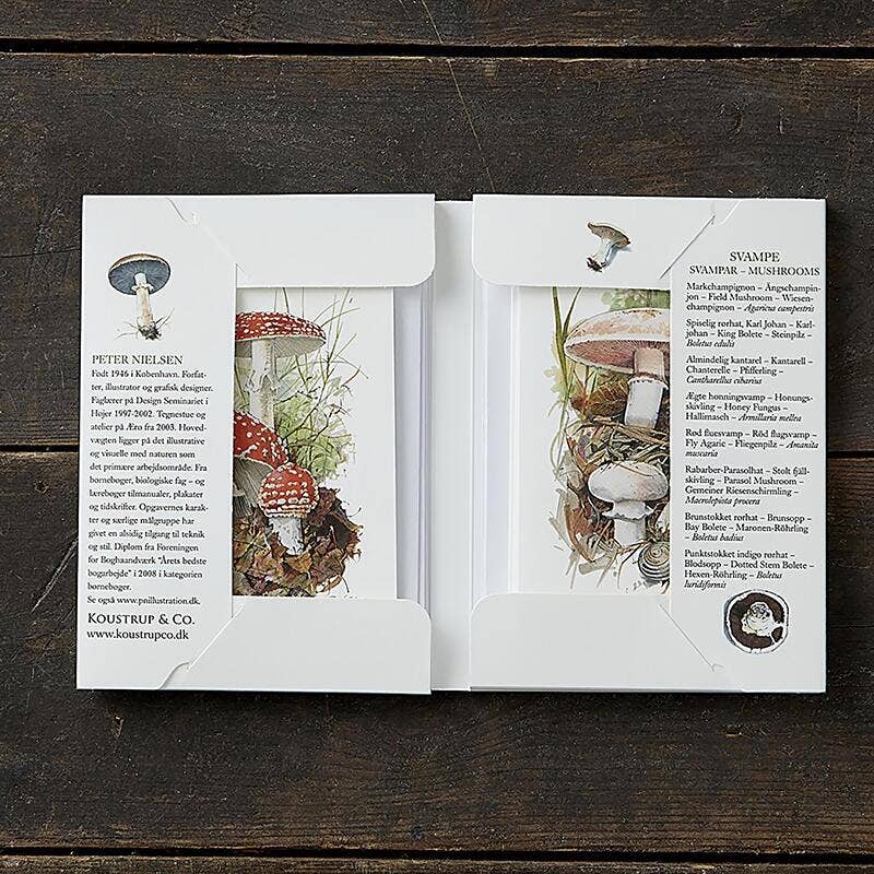 Svampe 8 kort m/konvolutter lavet i Europa - MoodTiles