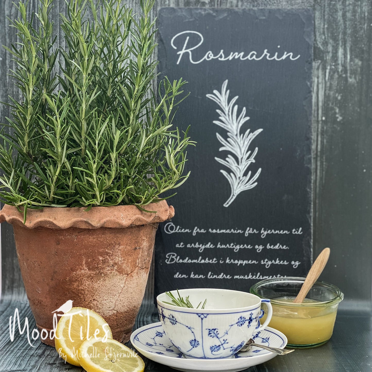 Smuk og elegant planteskilt med krydderurten rosmarin. Her sat op sammen med frisk honning og royalcopenhagen med te lavet af rosmarin. Ved siden af planteskiltet står en flot stor rosmarin krydderurte.