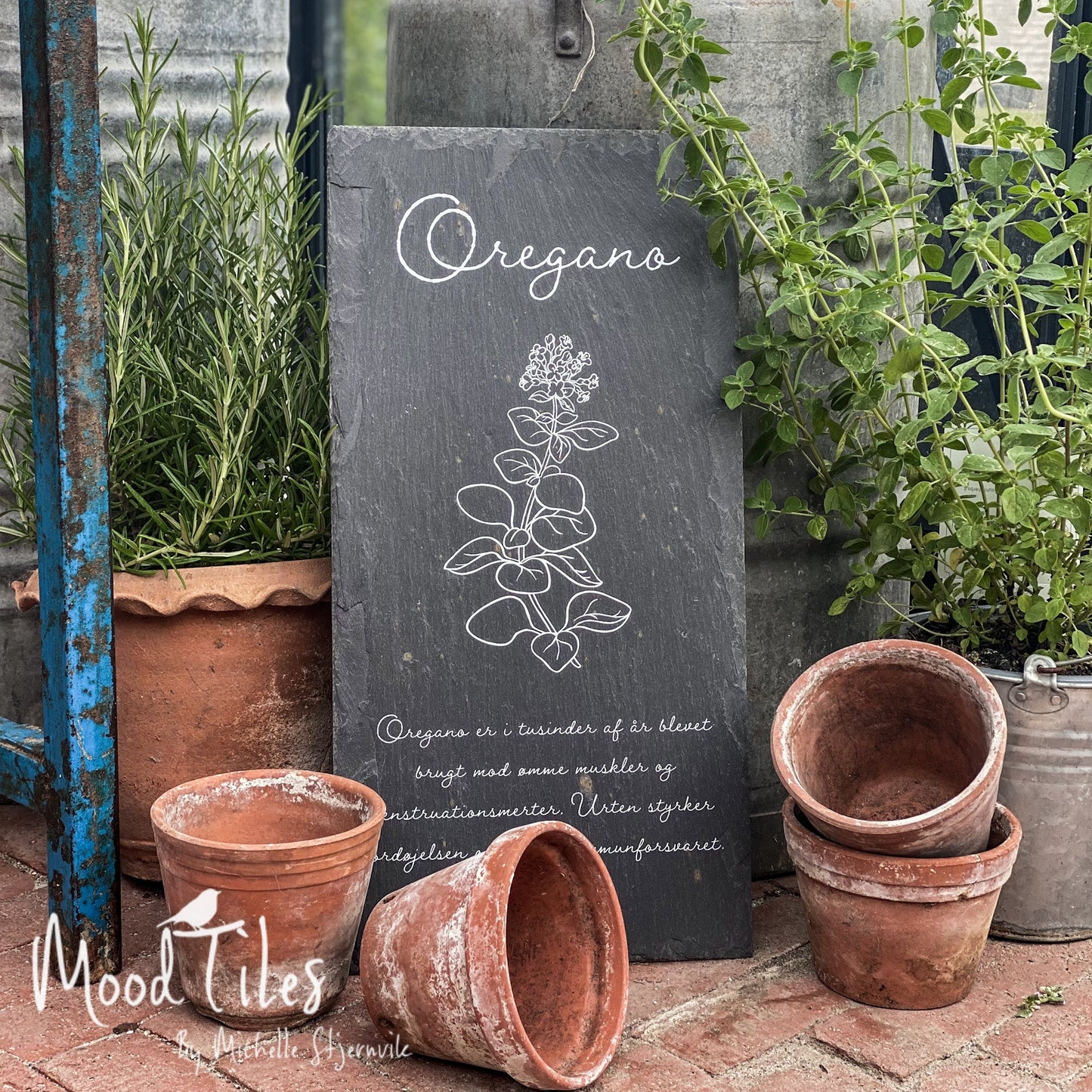 Flot planteskilt med krydderurten oregano. Flotte patineret krukker med med til at lave dette flotte setup med friske krydderurter og planteskilt.