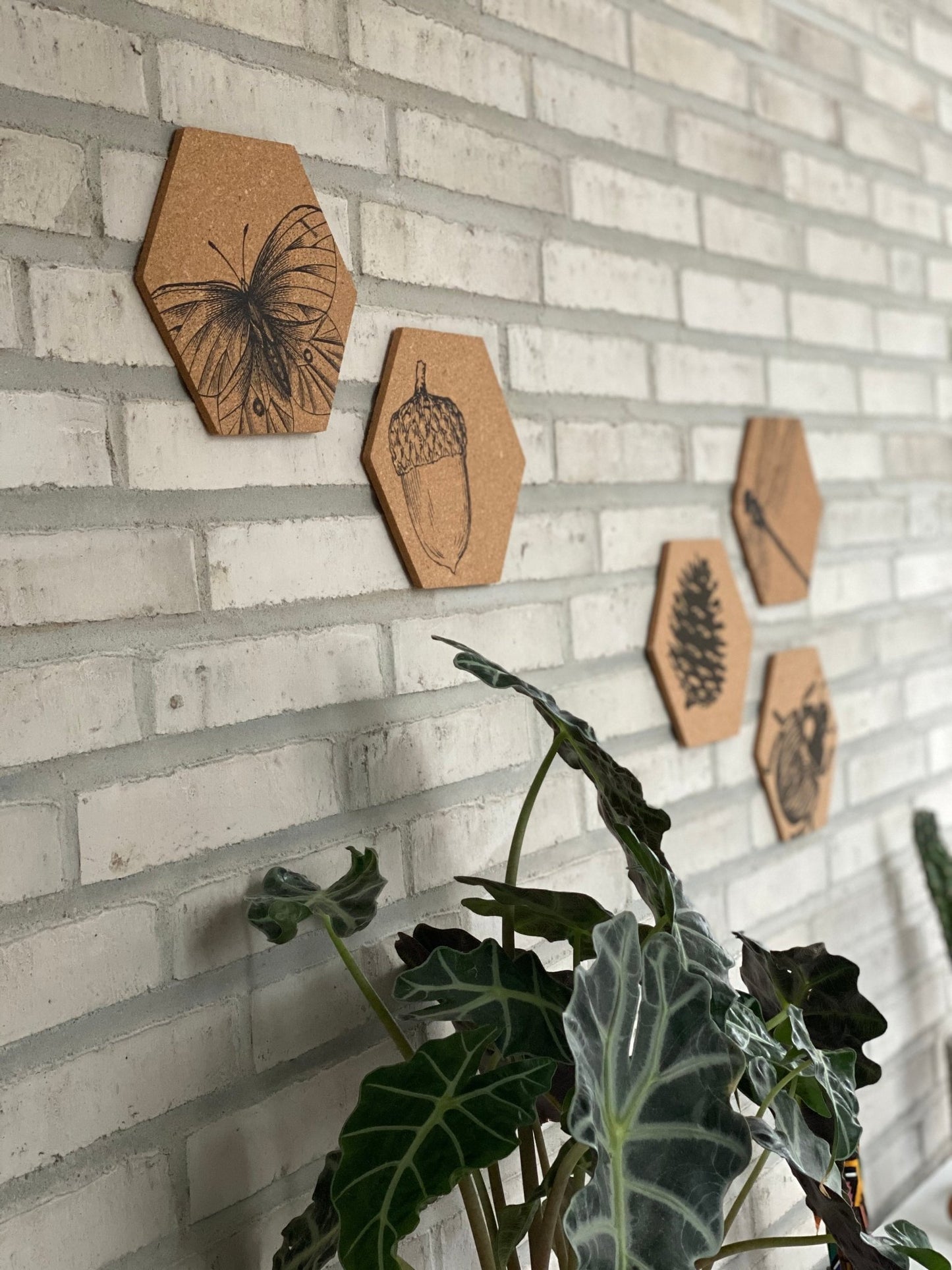 murstensvæg, kork, bæredygtig indretning, naturmotiver, sommerfugl, agern, kogle, bille, guldsmed, kork, plante, opslagstavle