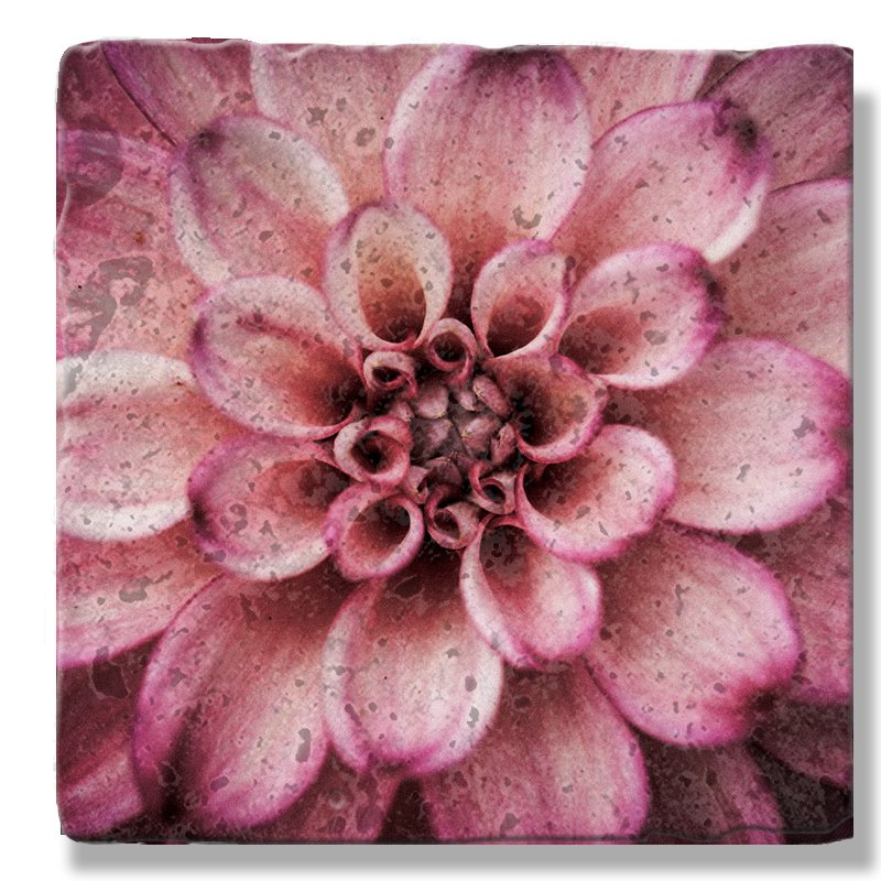 Pink Dahlia 2 coaster - MoodTiles