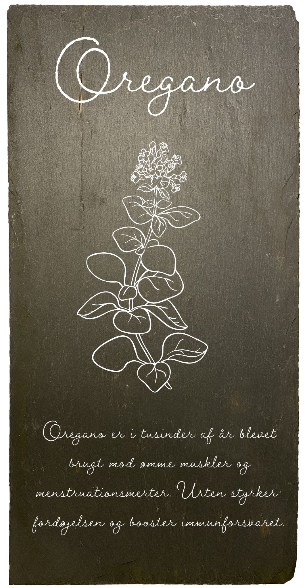 Skiferskilt med oregano. Krydderurteskiltet er lavet af genbrugsskifer og har en lægelig forklaring på hvad oregano er godt for. Skiltet har en illustration af planten oregano, så du nemt kan genkende planten i haven. Planteskiltet måler 20x40cm